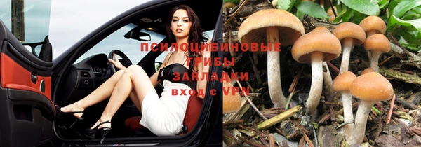 кокаин перу Арсеньев